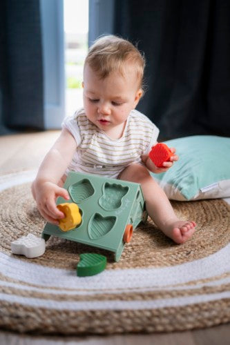 Activity Toys & Play Centres