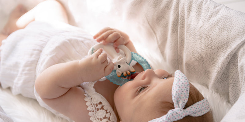 Baby Teethers & Rattles