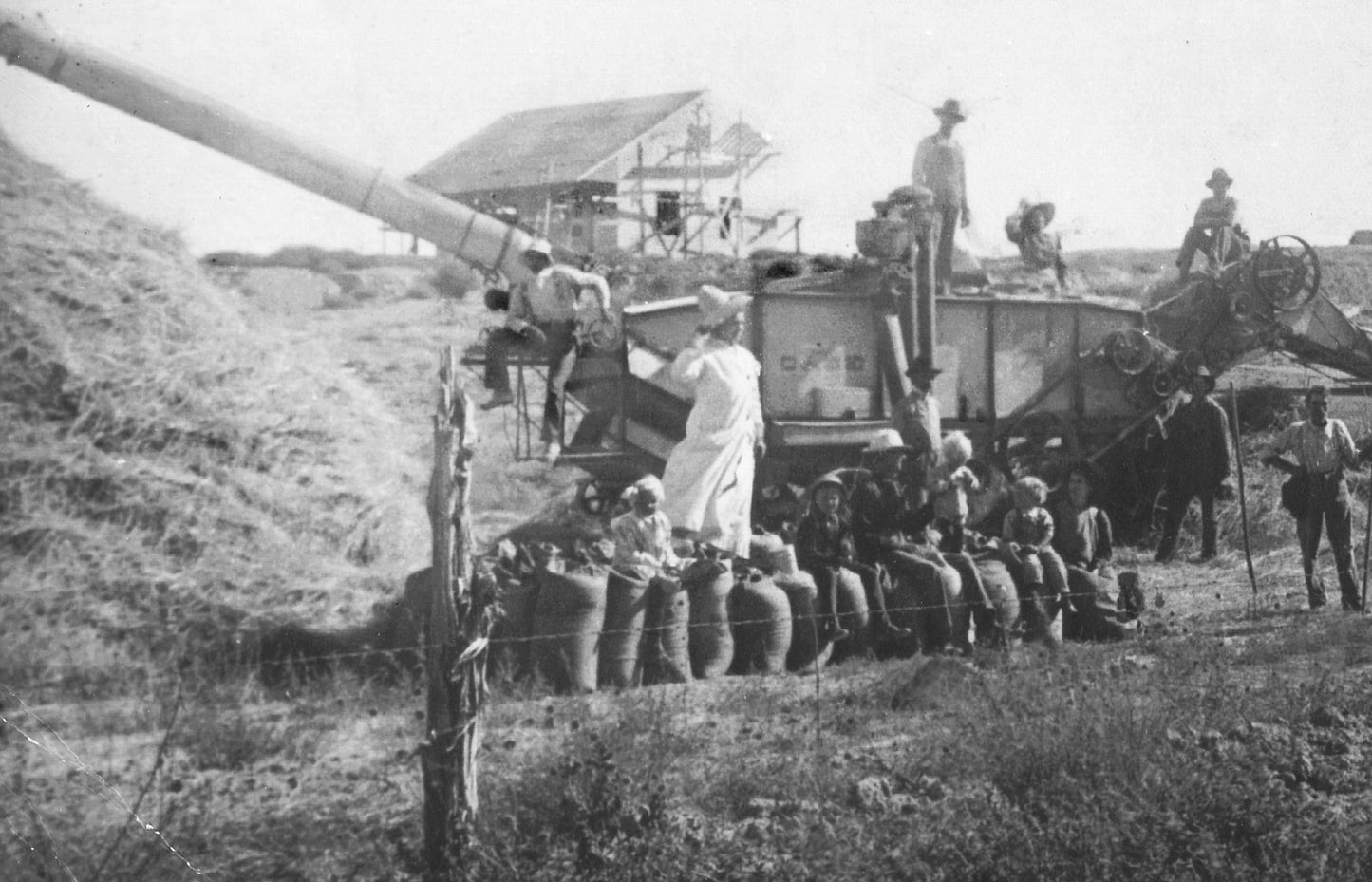 My Little Monsters® 100% Organic Baby Hooded Towel - SAND