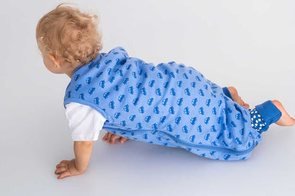 Bliss Jump, Sleeping Bag with Legs, 1 TOG, 3-5 y, VROOM Cars