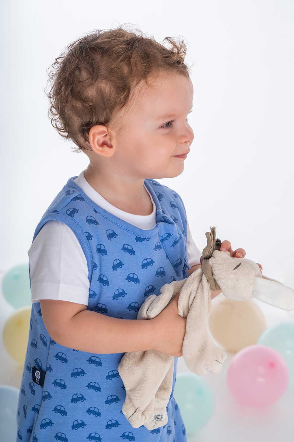 Bliss Jump, Sleeping Bag with Legs, 1 TOG, 3-5 y, VROOM Cars